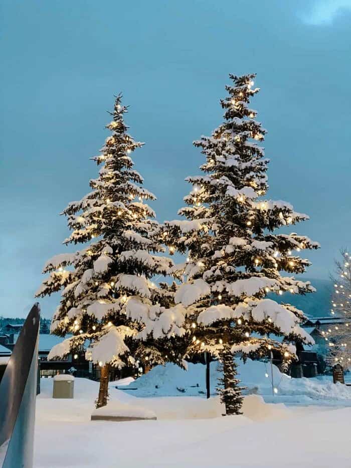 Nine Favorite Things | halfbakedharvest.com