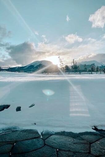 Nine Favorite Things | halfbakedharvest.com