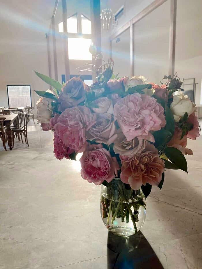 Nine Favorite Things | halfbakedharvest.com