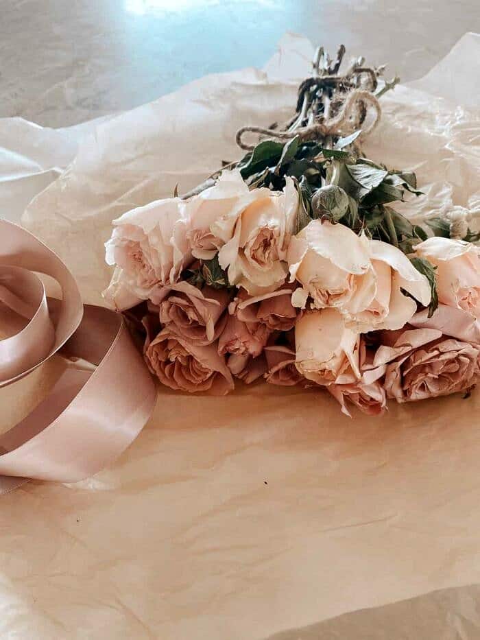 Nine Favorite Things | halfbakedharvest.com