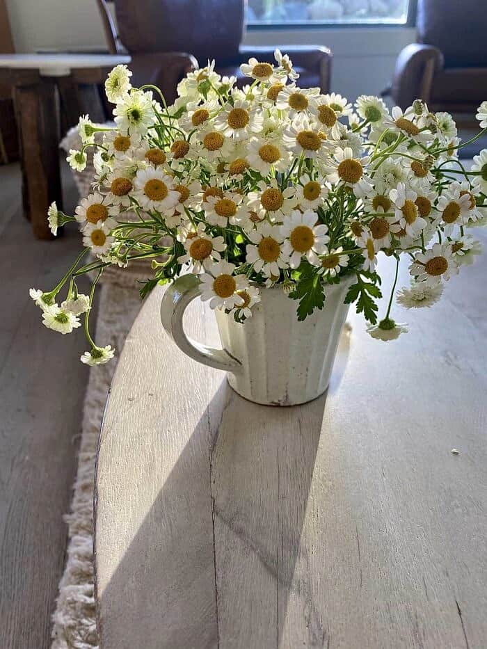 Nine Favorite Things | halfbakedharvest.com flowers in mug