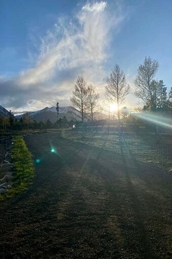 Nine Favorite Things | halfbakedharvest.com