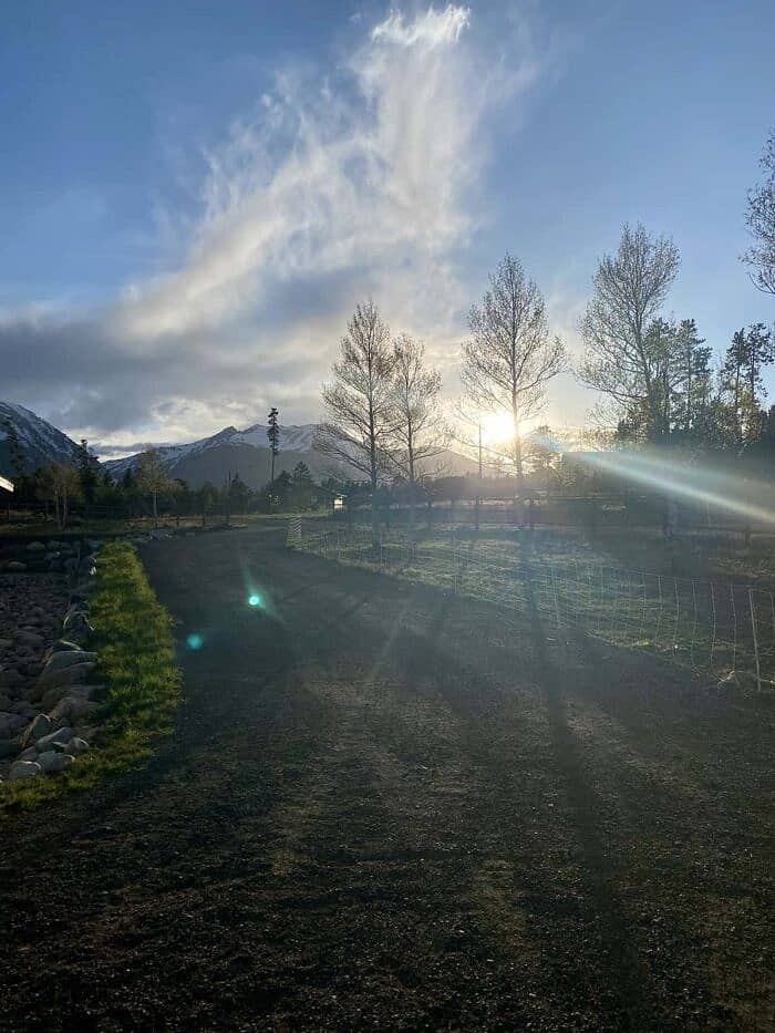 Nine Favorite Things | halfbakedharvest.com