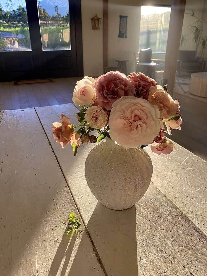 Nine Favorite Things | halfbakedharvest.com flowers in sun