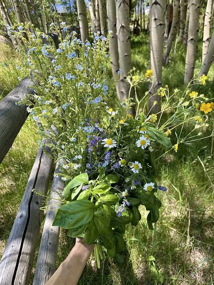 Nine Favorite Things | halfbakedharvest.com fresh picked flowers