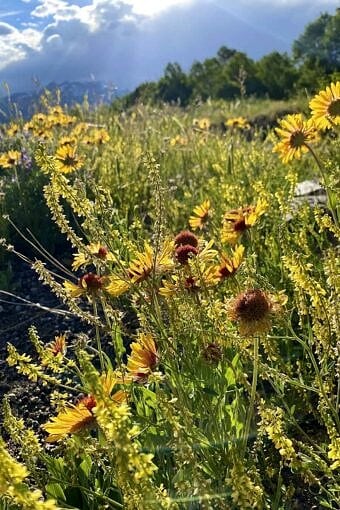 Nine Favorite Things | halfbakedharvest.com