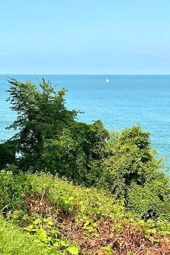 Nine Favorite Things | halfbakedharvest.com