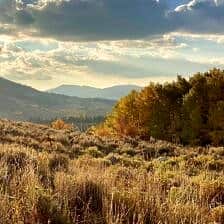 Nine Favorite Things | halfbakedharvest.com