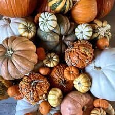 Nine Favorite Things | halfbakedharvest.com