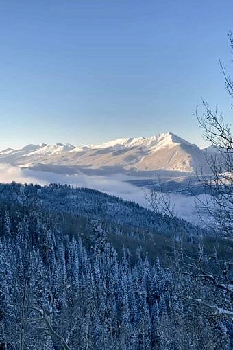 Nine Favorite Things | halfbakedharvest.com