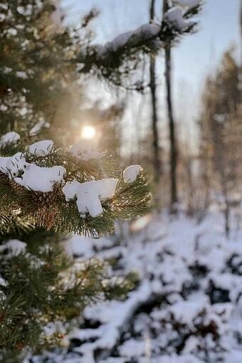 Nine Favorite Things | halfbakedharvest.com