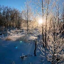 Nine Favorite Things | halfbakedharvest.com