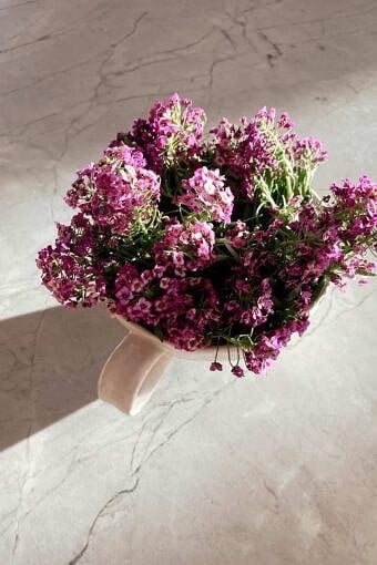 Nine Favorite Things | halfbakedharvest.com