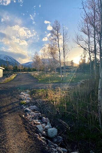 Nine Favorite Things | halfbakedharvest.com