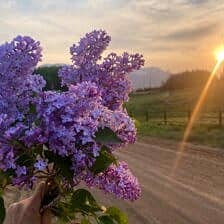 Nine Favorite Things | halfbakedharvest.com