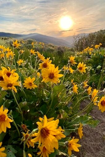 Nine Favorite Things | halfbakedharvest.com