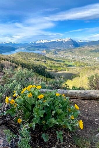 Nine Favorite Things | halfbakedharvest.com