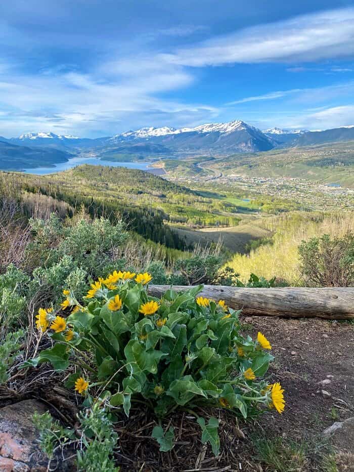 Nine Favorite Things | halfbakedharvest.com