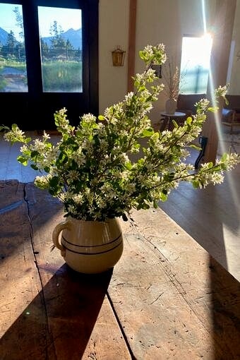 Nine Favorite Things | halfbakedharvest.com