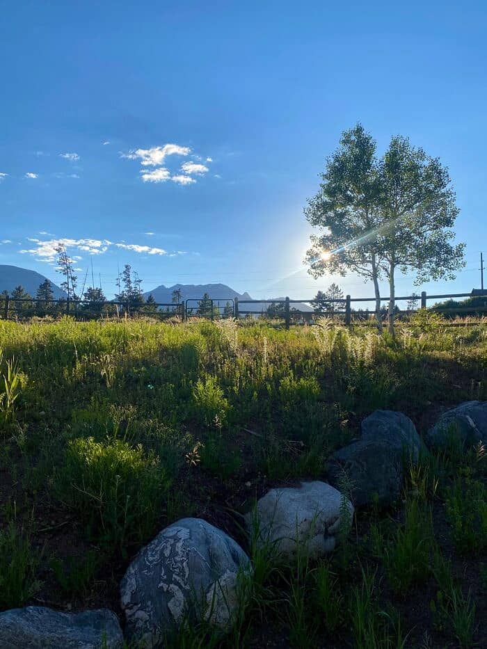 Nine Favorite Things | halfbakedharvest.com