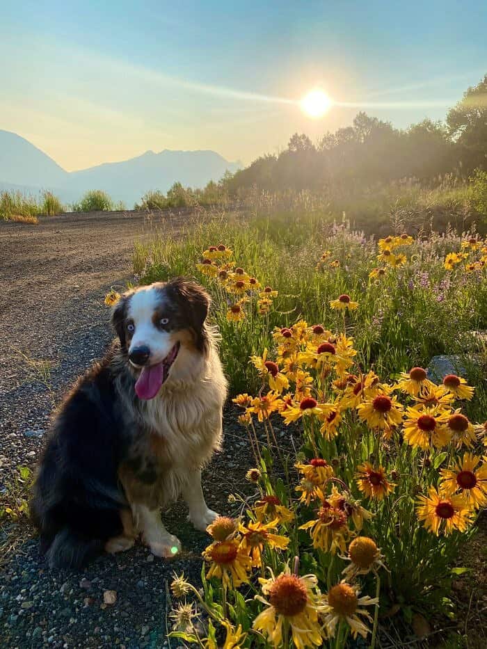 Nine Favorite Things | halfbakedharvest.com