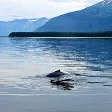 Nine Favorite Things | halfbakedharvest.com