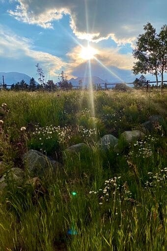 Nine Favorite Things | halfbakedharvest.com