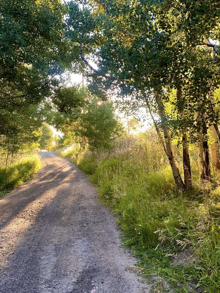 Nine Favorite Things | halfbakedharvest.com