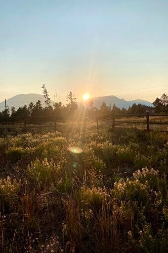 Nine Favorite Things | halfbakedharvest.com