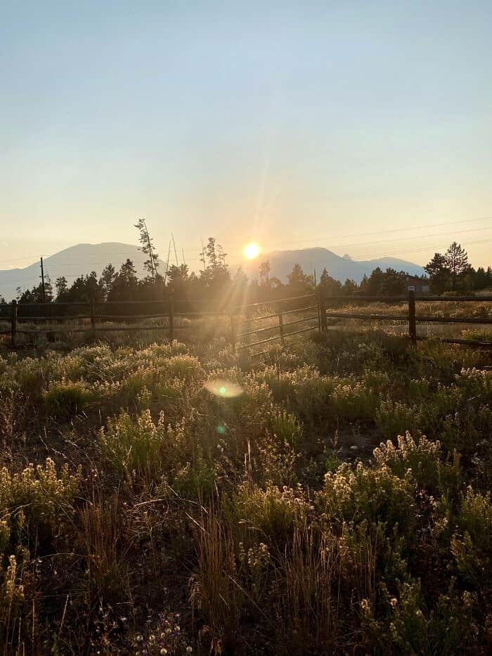 Nine Favorite Things | halfbakedharvest.com