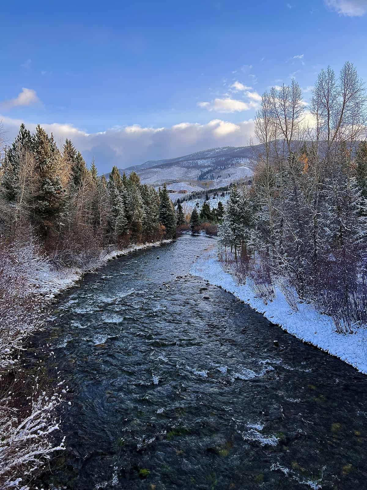 Nine Favorite Things | halfbakedharvest.com