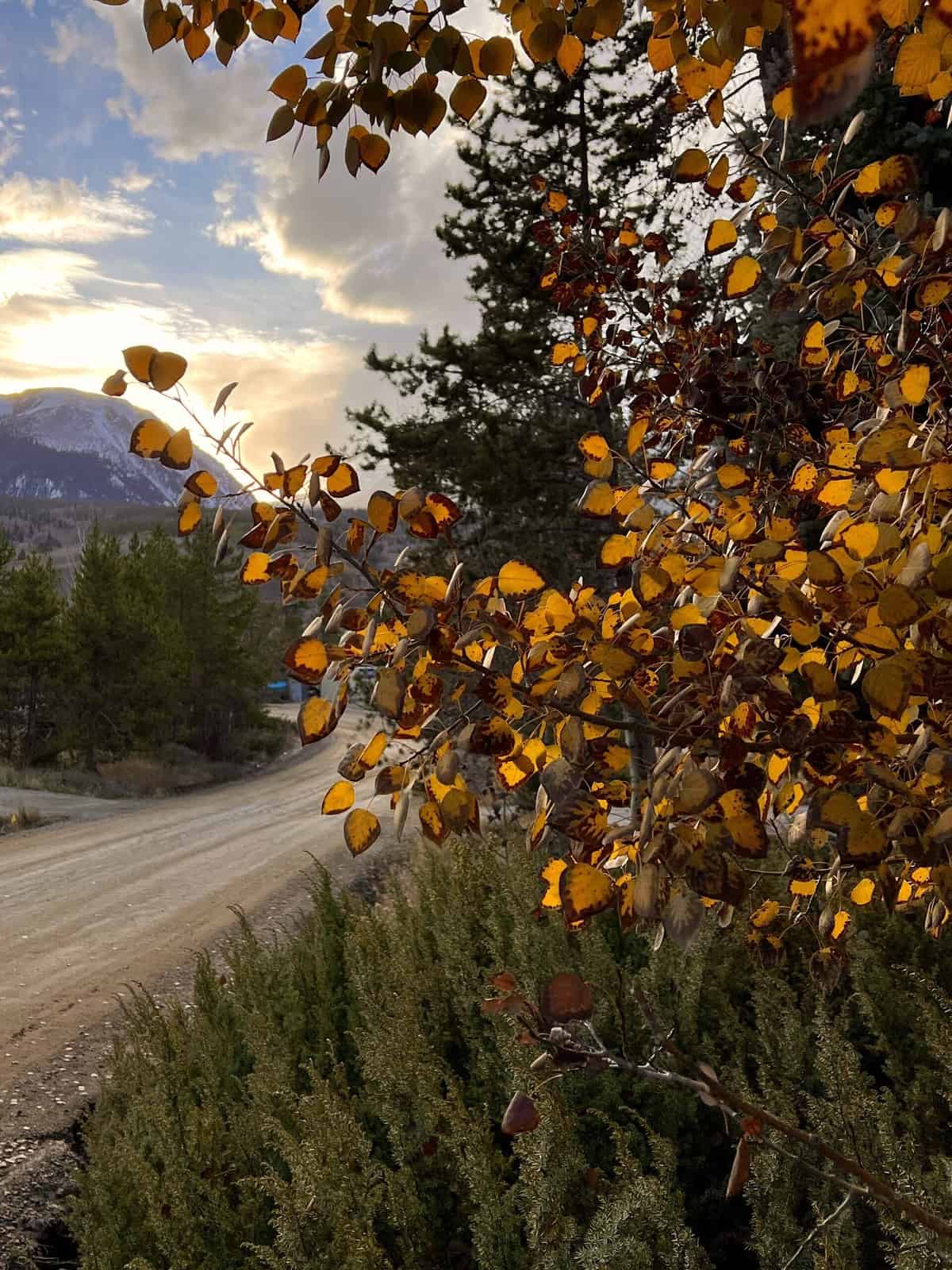 Nine Favorite Things | halfbakedharvest.com