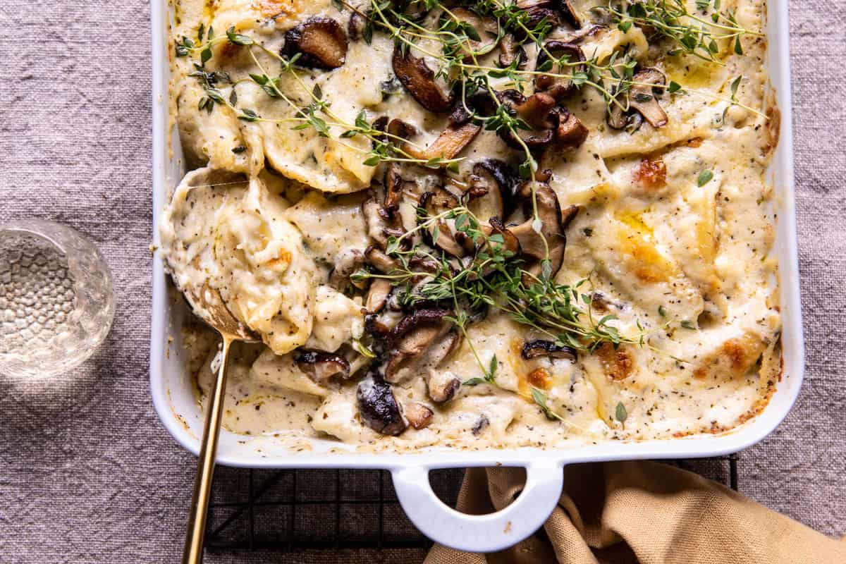 Creamy White Wine Mushroom Stuffed Shells | halfbakedharvest.com