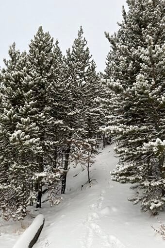 Nine Favorite Things | halfbakedharvest.com