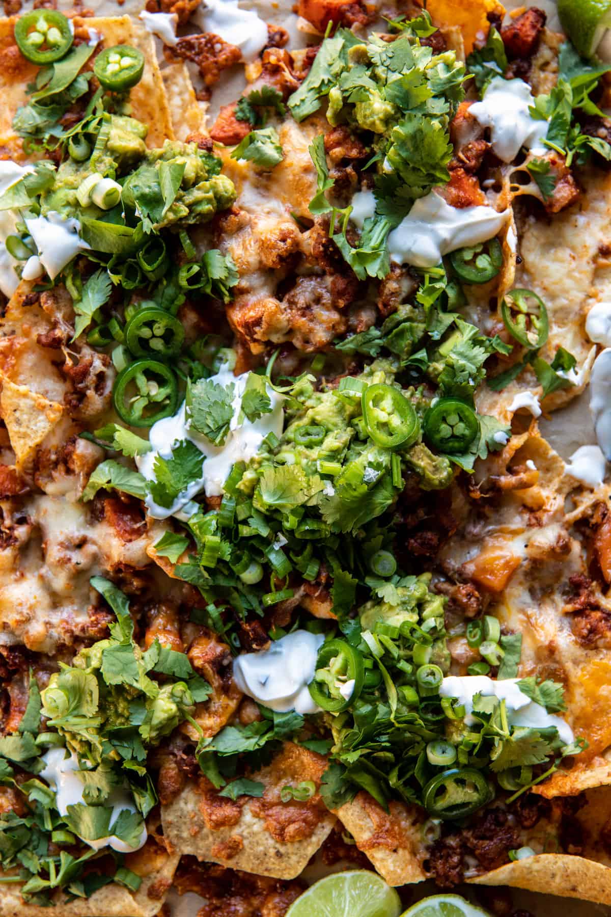 Chipotle Chicken Nachos with Jalapeño Yogurt | halfbakedharvest.com