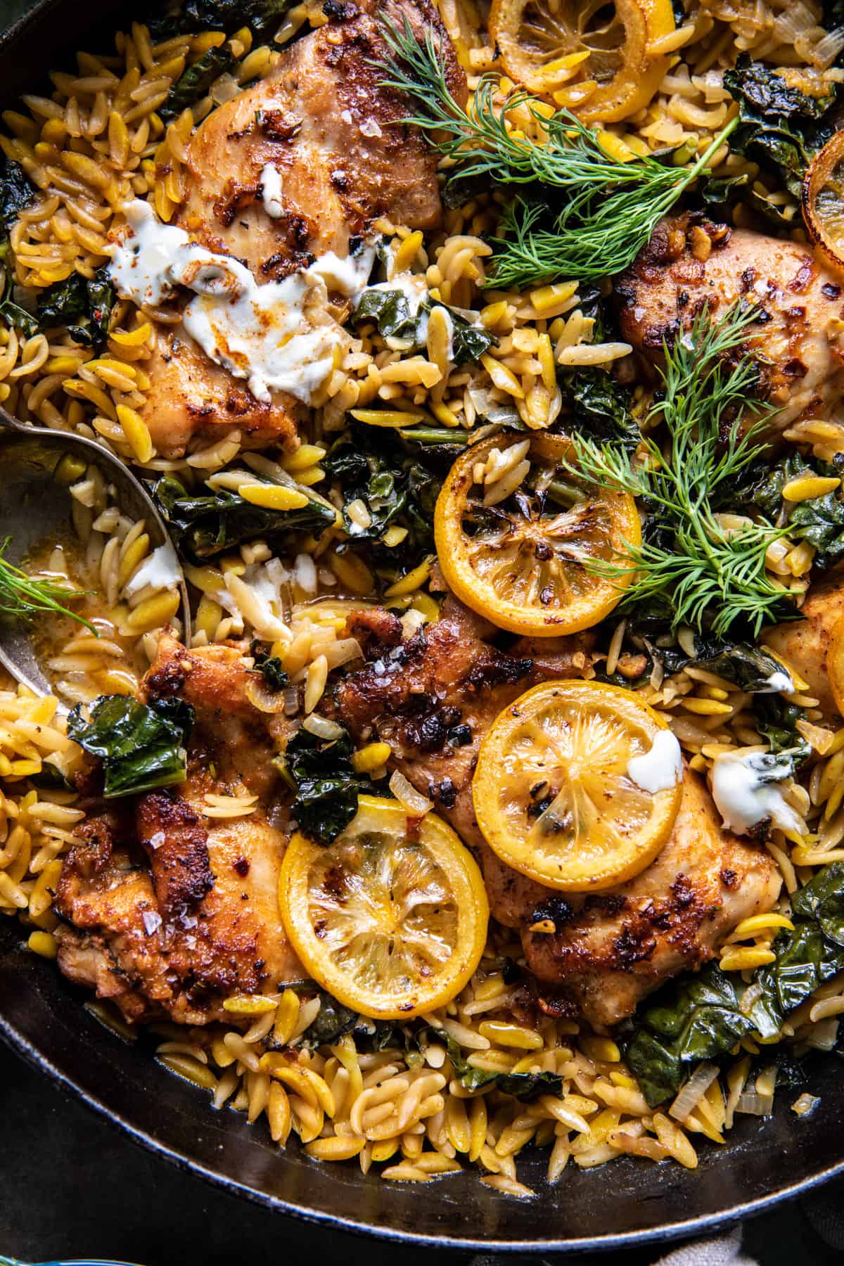 One Skillet Lemon Butter Dijon Chicken and Orzo with Feta Sauce | halfbakedharvest.com