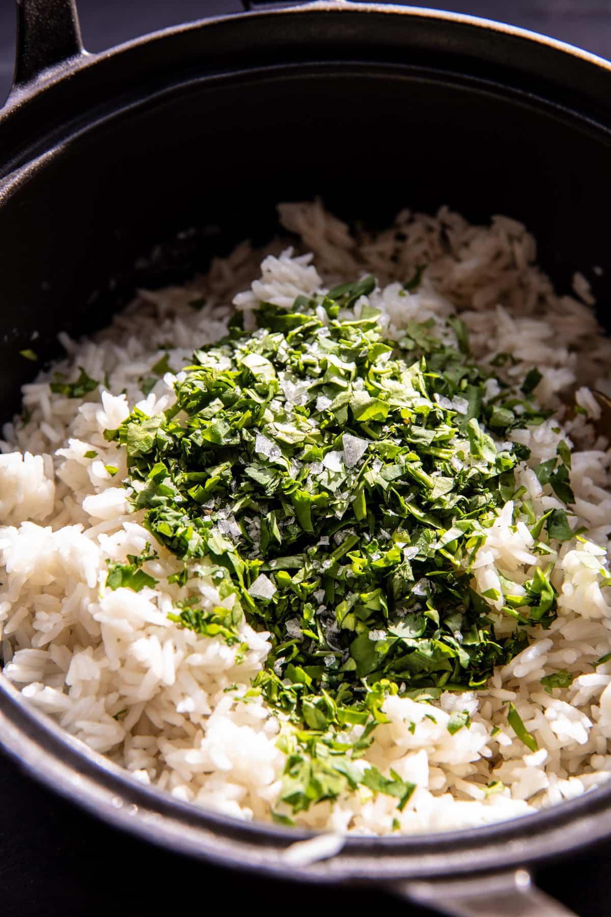 Skillet Chicken Adobo with Coconut Rice | halfbakedharvest.com