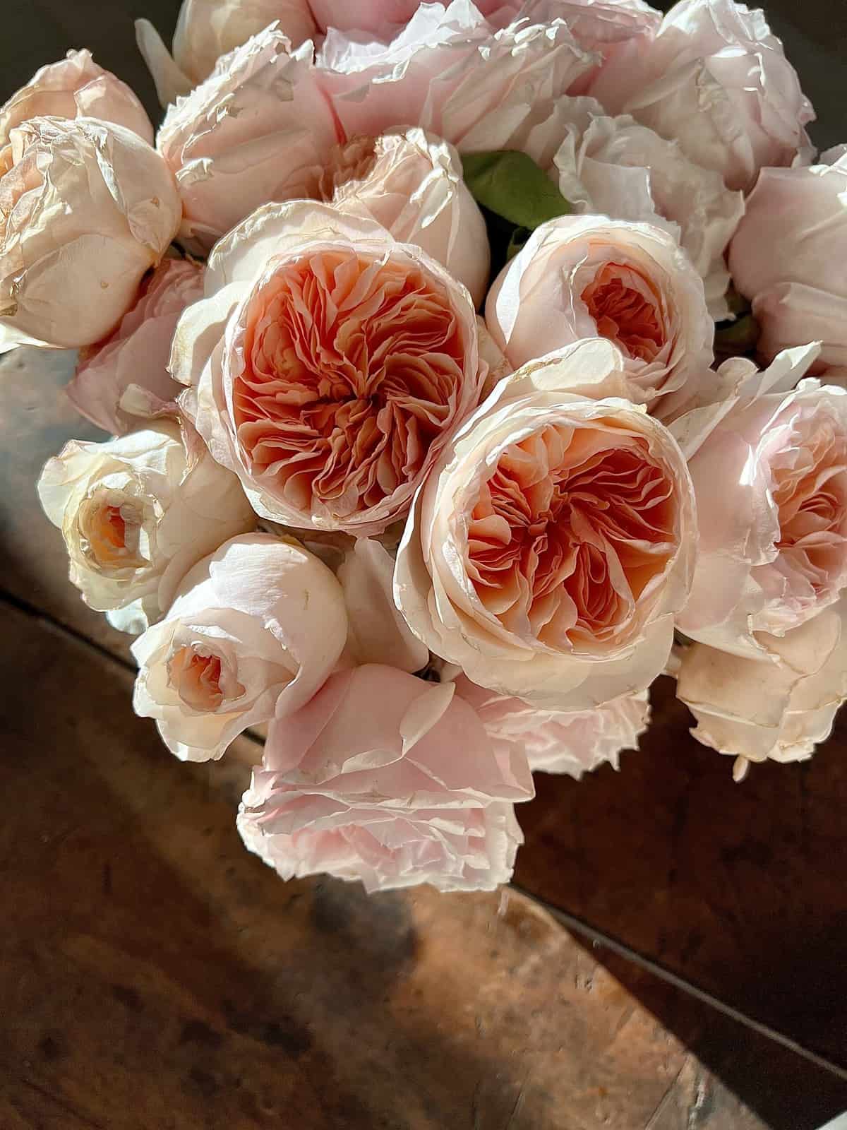 Nine Favorite Things | halfbakedharvest.com