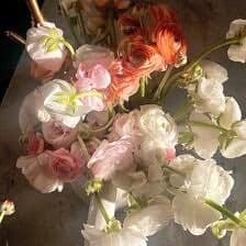 Nine Favorite Things | halfbakedharvest.com