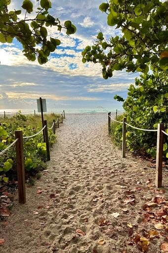 Nine Favorite Things | halfbakedharvest.com