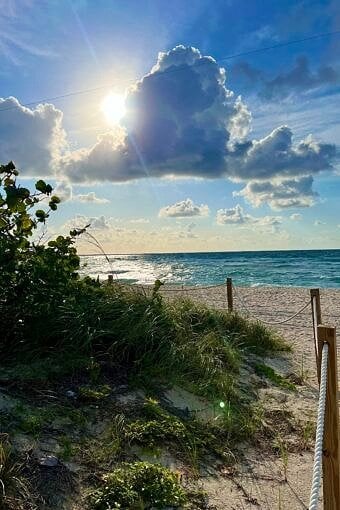 Nine Favorite Things | halfbakedharvest.com