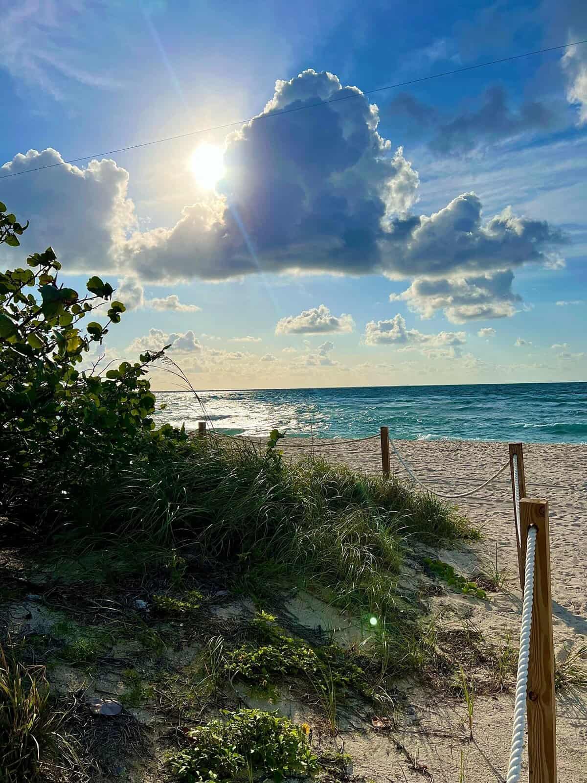 Nine Favorite Things | halfbakedharvest.com