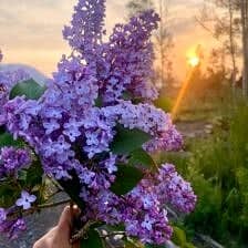 Nine Favorite Things | halfbakedharvest.com