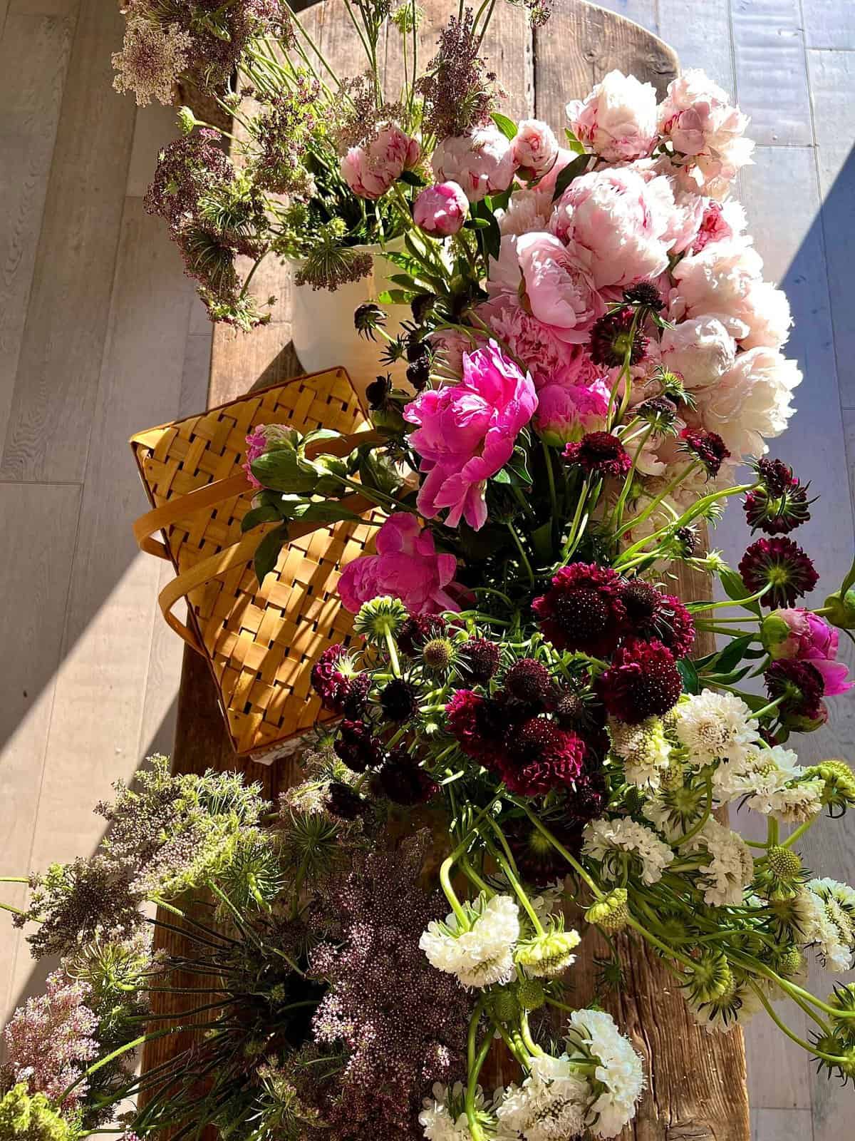 Nine Favorite Things | halfbakedharvest.com