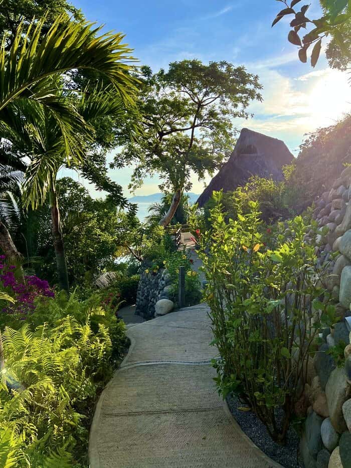 Nine Favorite Things | halfbakedharvest.com