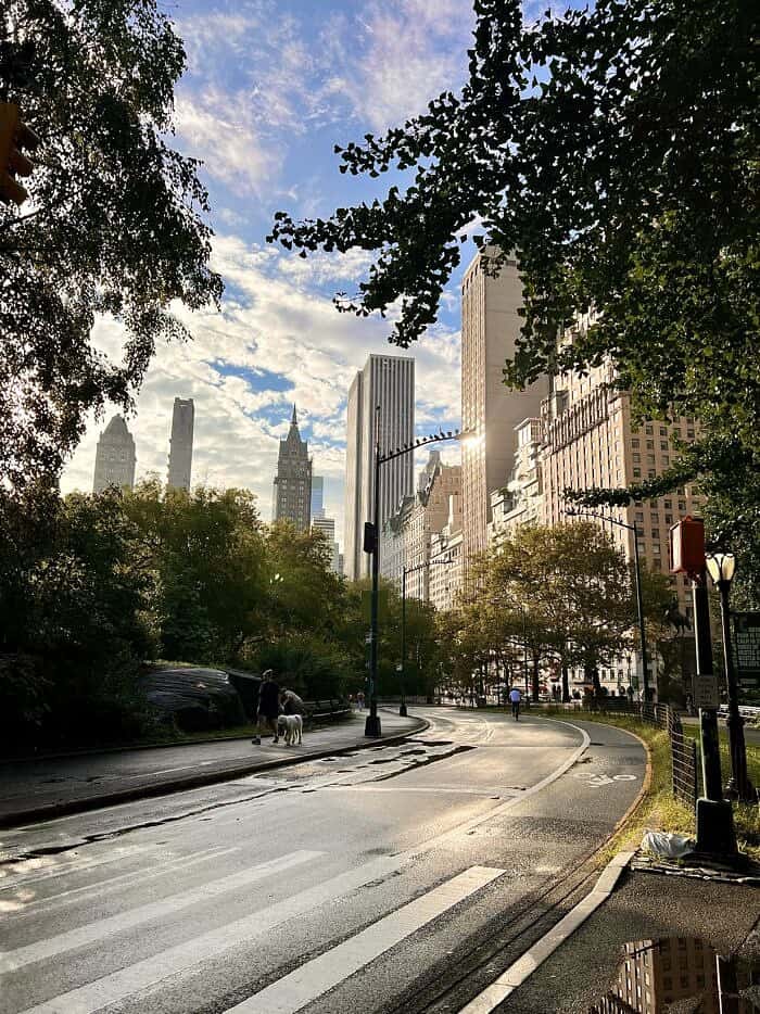 Nine Favorite Things | halfbakedharvest.com