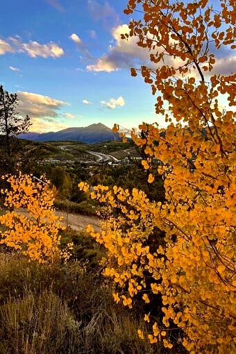 Nine Favorite Things | halfbakedharvest.com