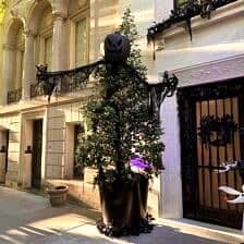 Nine Favorite Things | halfbakedharvest.com