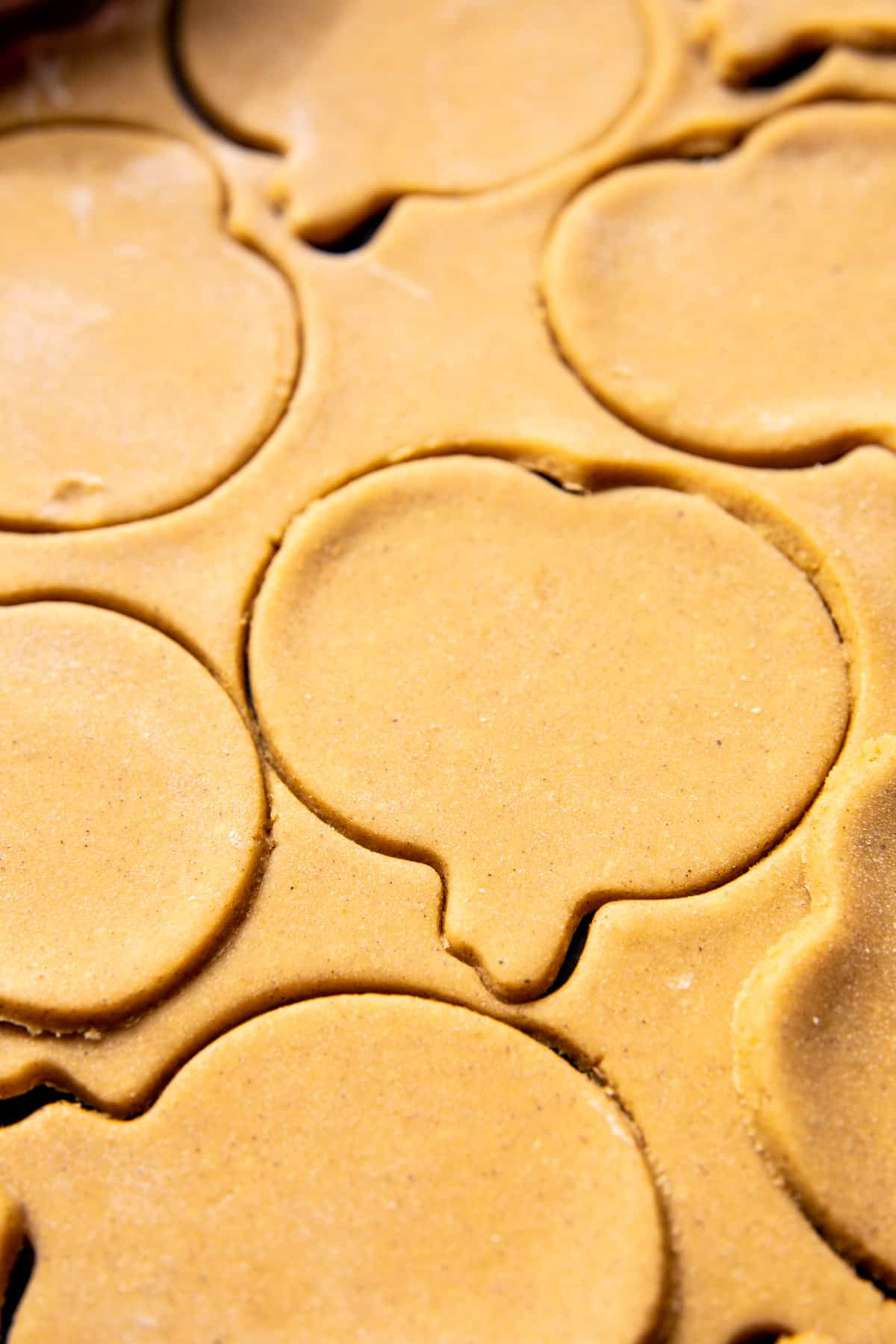 Soft Pumpkin Sugar Cookies with Cinnamon Brown Butter Frosting | halfbakedharvest.com