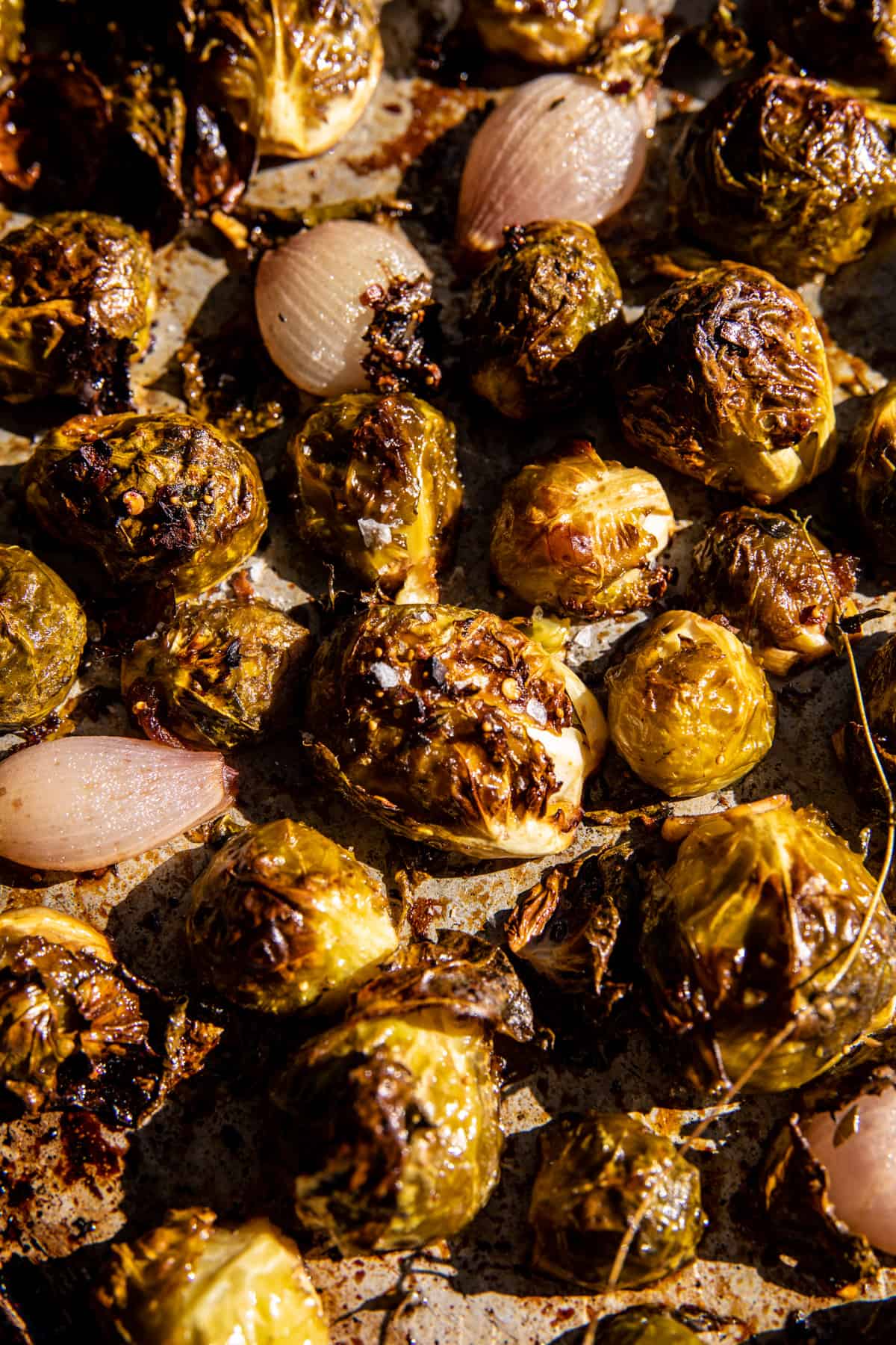 Roasted Balsamic Parmesan Brussels Sprouts | halfbakedharvest.com